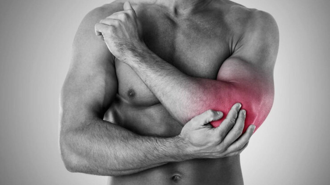 What Supplements Help Muscle Recovery?