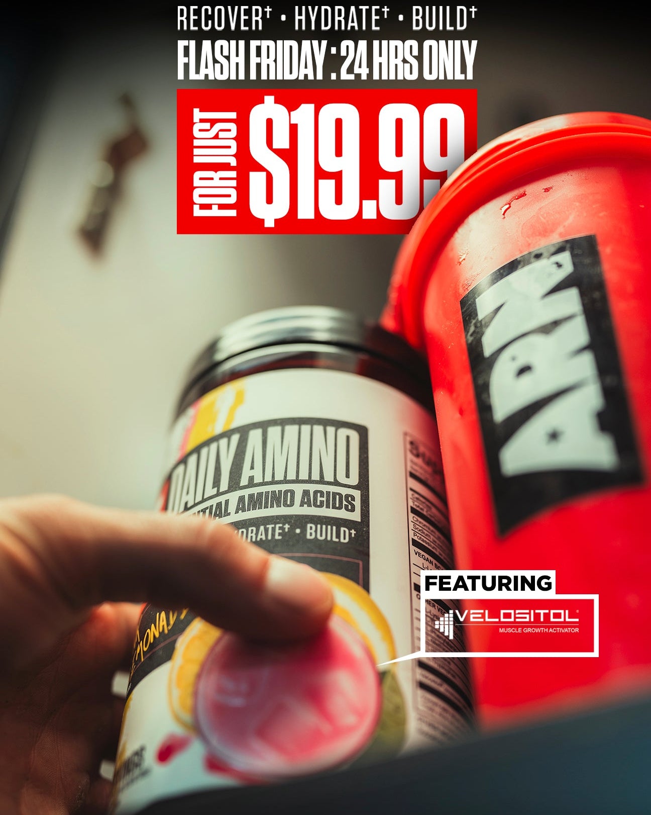 A hand holds an ARN Daily Amino powder bottle in the foreground, with a large red ARN tub behind it. Promotional text at the top reads 'ARN Recover • Hydrate • Build' and 'FLASH FRIDAY: 24 HRS ONLY' with a large '$19.